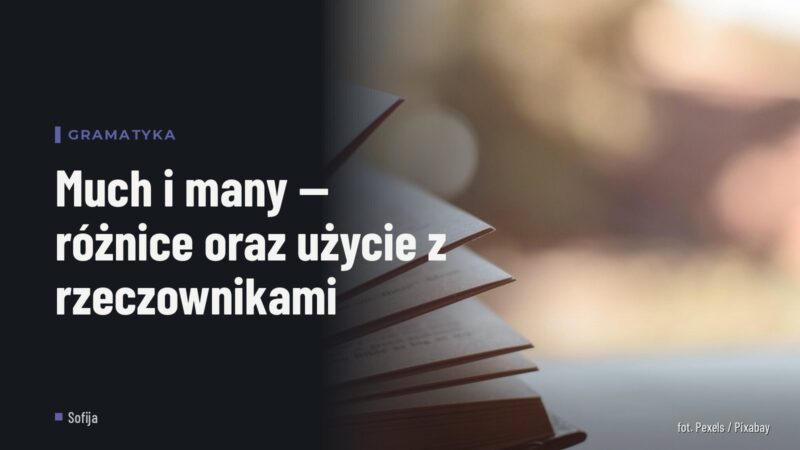Much i many — różnice oraz użycie z rzeczownikami