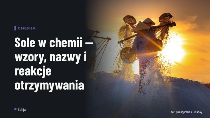 Sole w chemii — wzory, nazwy i reakcje otrzymywania