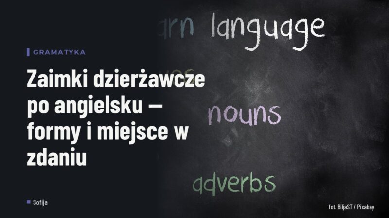 Zaimki dzierżawcze po angielsku — formy i miejsce w zdaniu